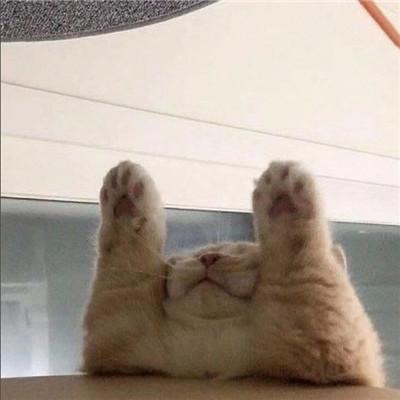 ��˳�ĳ���ɰ�Ӣ�����������۰�-�ɰ���