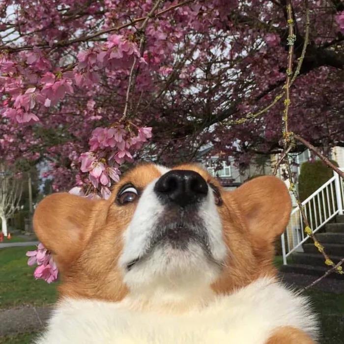 �������ݺ��������ĳ������ּ���׶�-�ɰ���