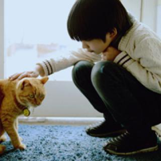 ��������Ԣ��ǰ�����޵��к���-�ɰ���