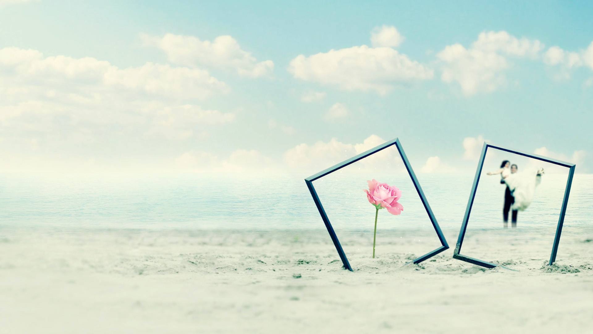 ����С�����������������º�������������