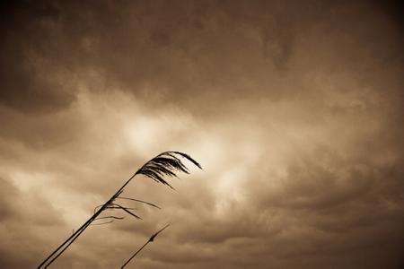 ����°��İ�����������������λ�����ξ�