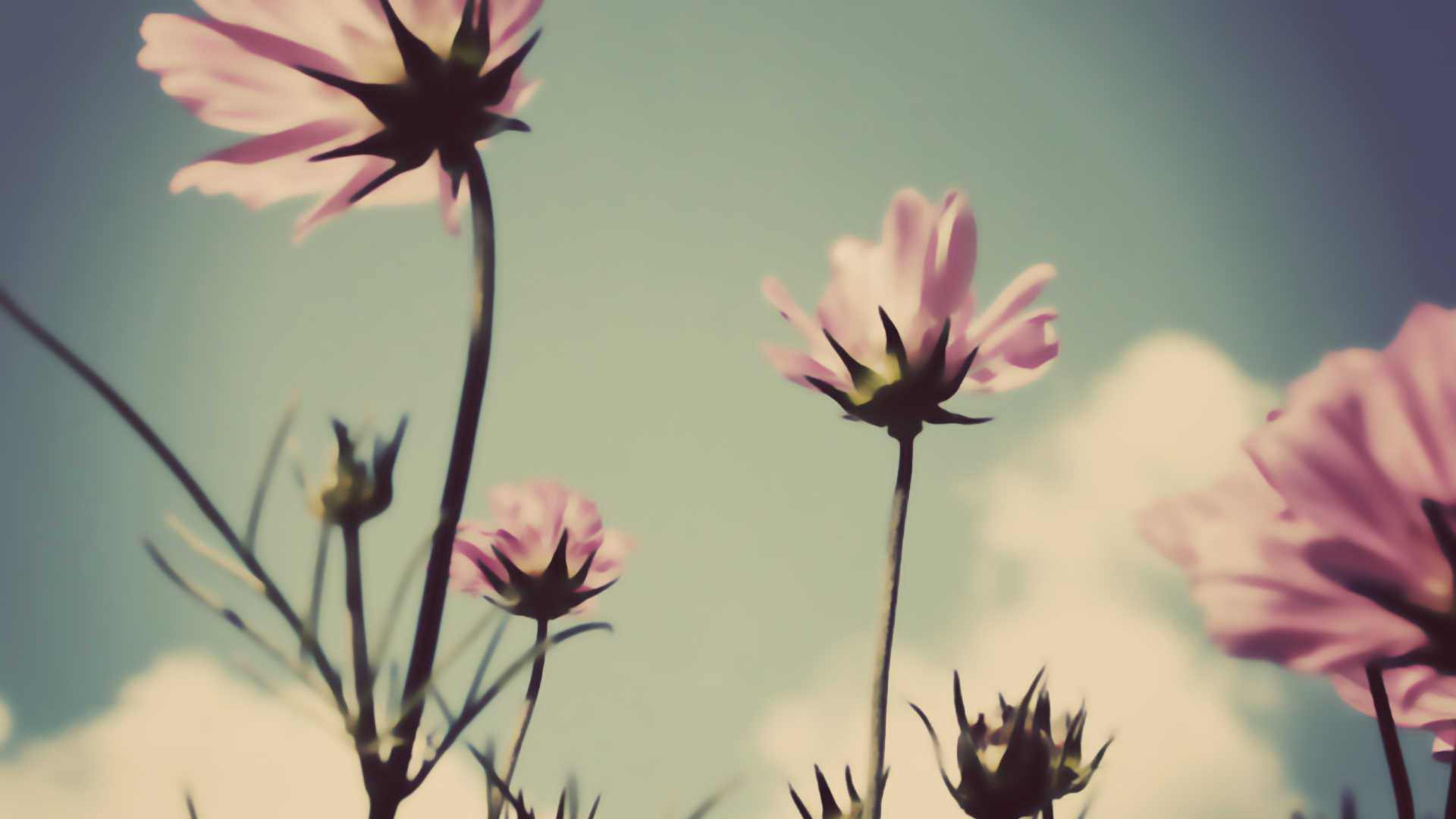 Ψ����Ů�����֣�Ψ�������˸е�Ů������