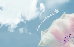 2011QQ炫舞网名大全,好听的QQ炫舞个性昵称名字