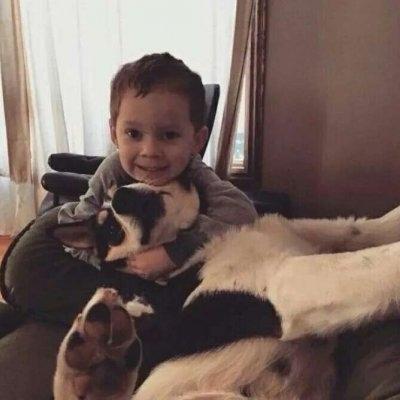 ��Ѹ��б���ȡ����ȫԢ��������ϣ��-�ɰ���