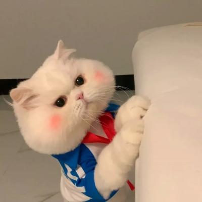 ��Լ�߶˴����������ֺͺ���ů��-�ɰ���