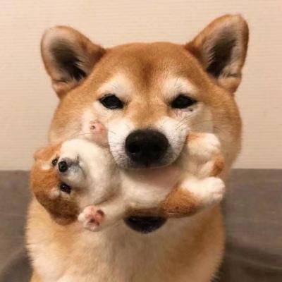 ��Ĭ���ں�������������-�ɰ���