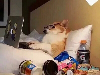 搞笑有趣的网名,微信有趣网名大全