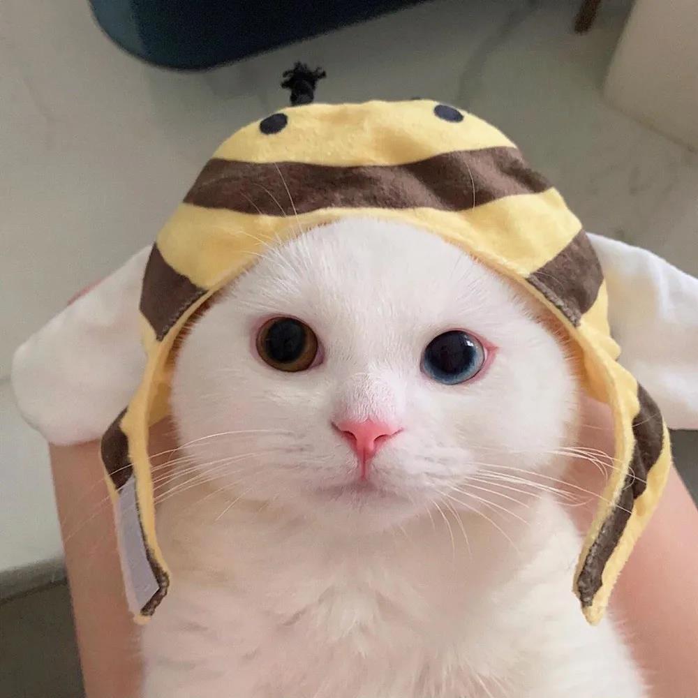 �������������Դ�BGM�����д���-�ɰ���