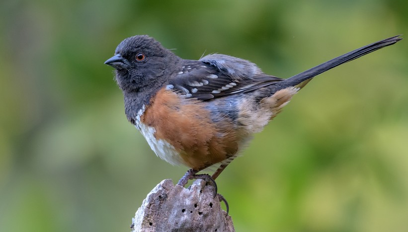 �����ֺÿ��ĳ��������ֿɰ�������-�ɰ���