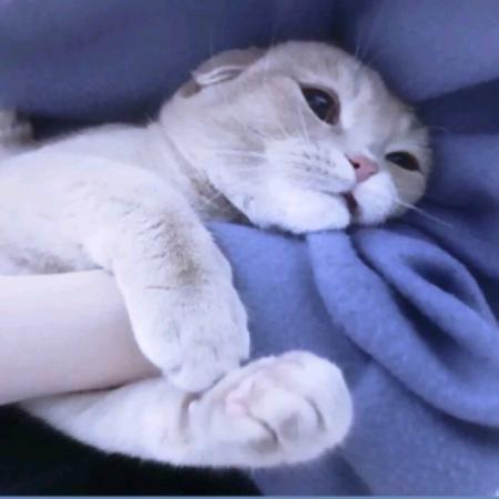 ������Լ���˵ĳ������ֹ�âҫ��-�ɰ���