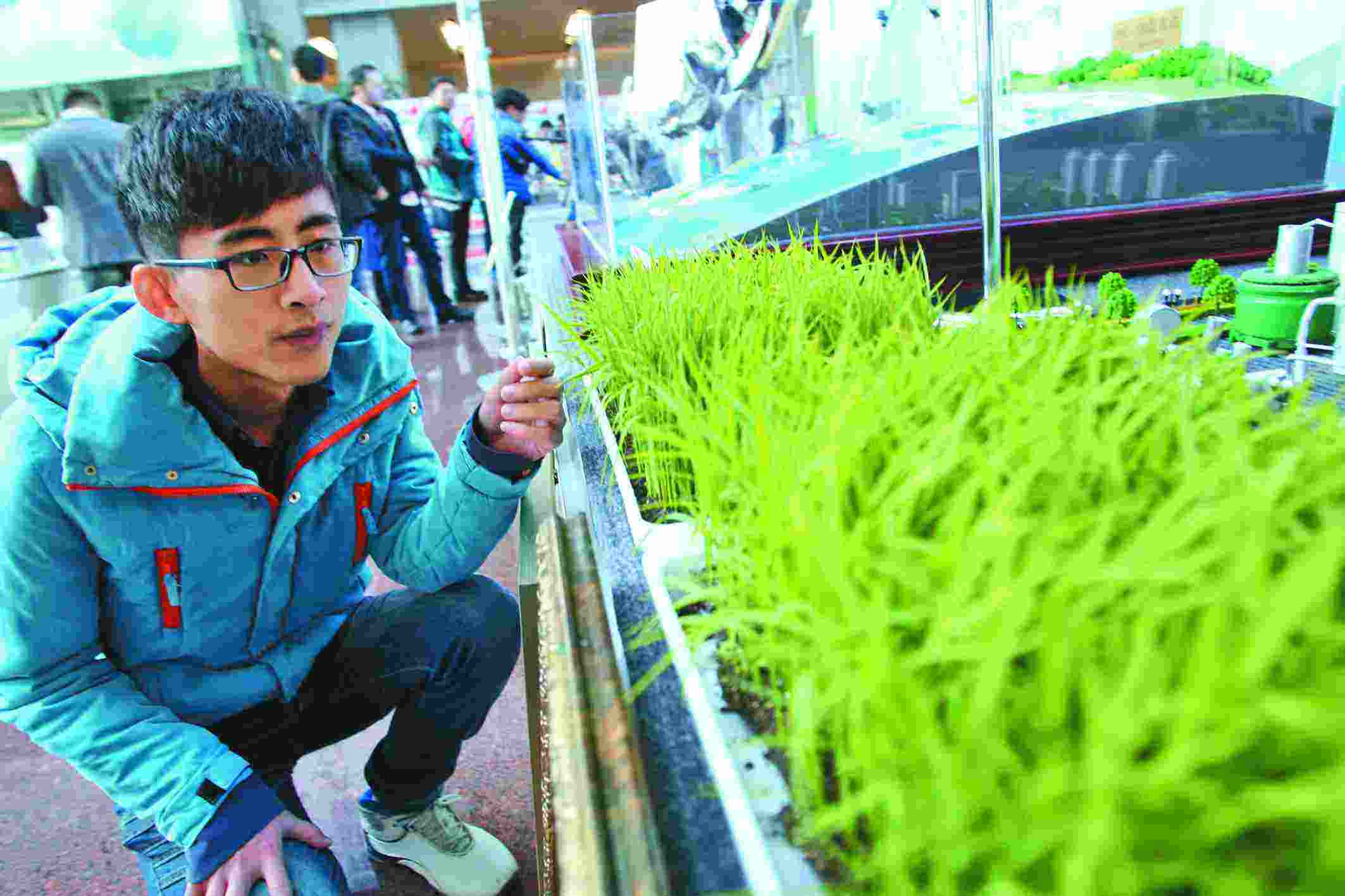 �򵥺����ʺ�ѧ���õ�����������