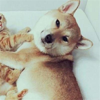 �ร���ٵļ����ĳ������ֽ�������-�ɰ���