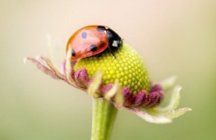 �����ķ������֣����Y�ȁË�߀�ہ�