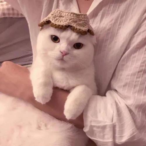 �����ĳ����������������бؿ�-�ɰ���