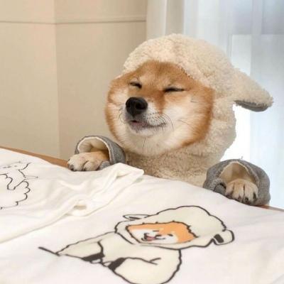 ����ɳ���Ц���ȳ�������-�ɰ���