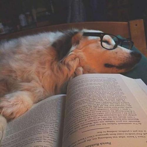 �����Ĺ���������ָ߼���Լ-�ɰ���