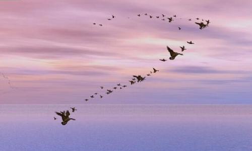 ��־���б�������������־�������������ƴ��