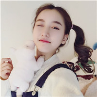 �ö���������������--������