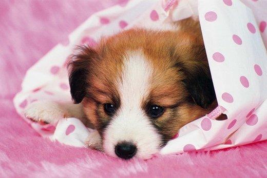 ���𳬰����ĳ������ָ���-�ɰ���