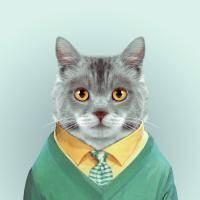 ���ؿ��ĳ������ִ�ȫ����������-�ɰ���