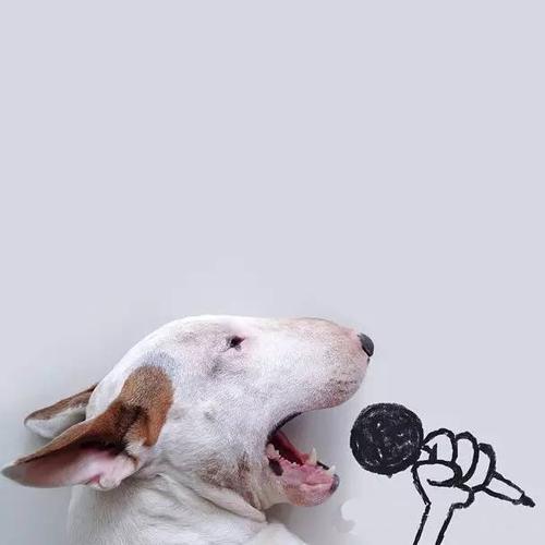 ��Ĭ��Ц����������������-�ɰ���