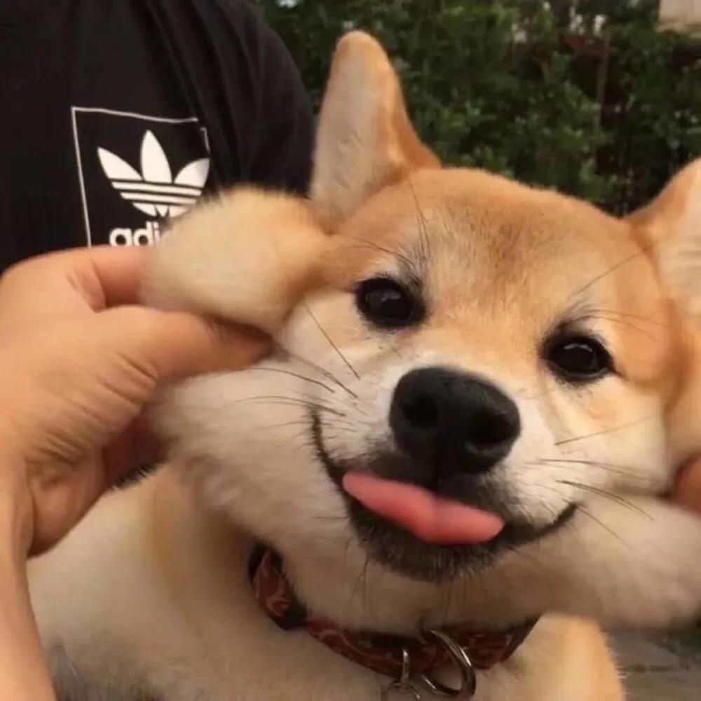 ��������ĺ��ȵ����ְ����º�-�ɰ���