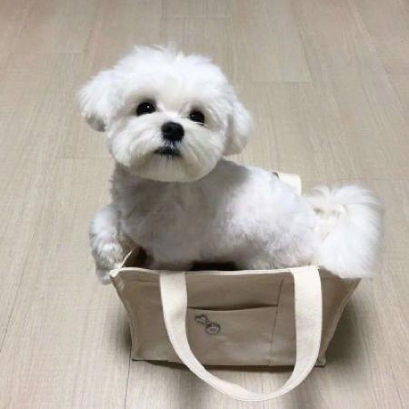 ��Ĭ��Ȥ�д��������������-�ɰ���