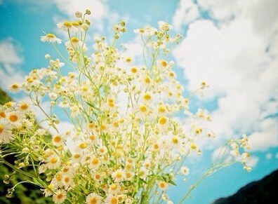 Ψ����������ʫ�ⳤ����