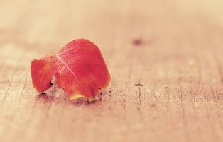 �������ִ�ȫ����һ���QQ���֣��ہÛ]����