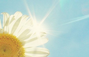 ������12���������ҵİ���ʧ�ڼ�į�Ľֽ� ��