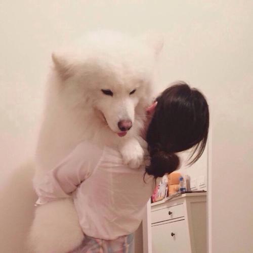 �������ĳ��ﹷ�������ִ�ȫʮ�ֳ���-�ɰ���