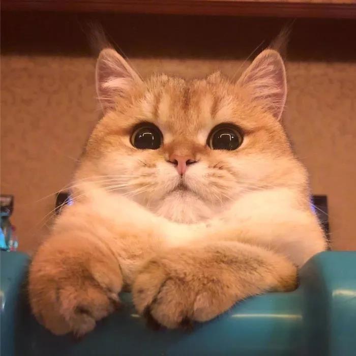 ������ȡ���ִ��Ⱥ�̬����-�ɰ���