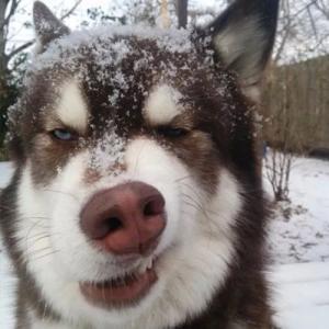 ������ﹷ�ĸ�Ц���ִ�ȫ����Ѱ��·-�ɰ���