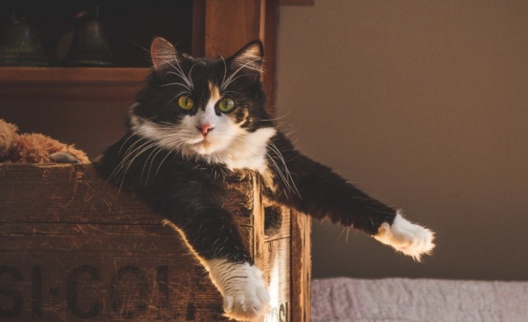 һ���ִ����ŵ���������Լ��ʧ����