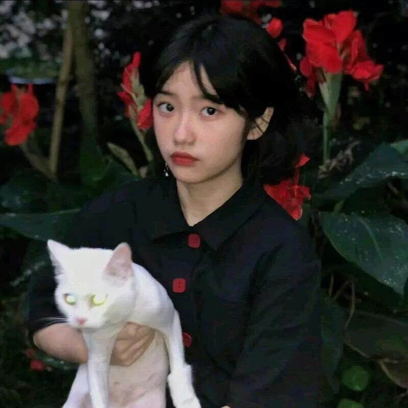 Ψ�����µ������ǳ������ζ��