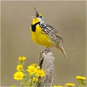 ��ֵ���ϳ��������ֿɰ�������˧��-�ɰ���