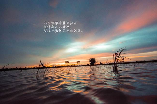 ��־�ֳ������������������������