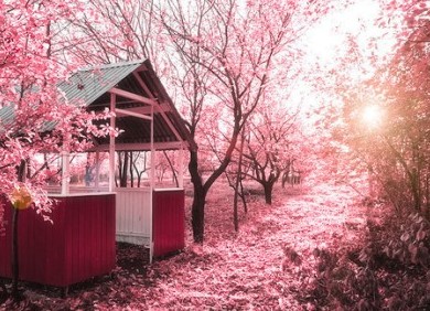 带特殊符号的网名:踏上了学校这条不归路 #