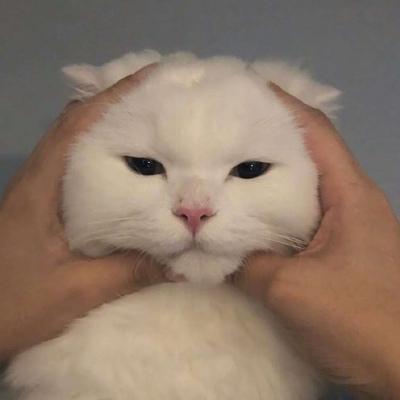 ���������ĳ������ְ������и���-�ɰ���