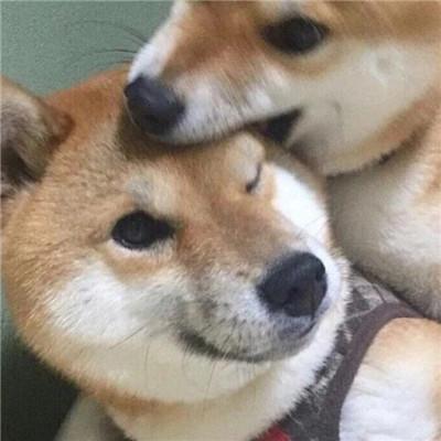 ���ص�����ճ������ֺ�����ζ-�ɰ���