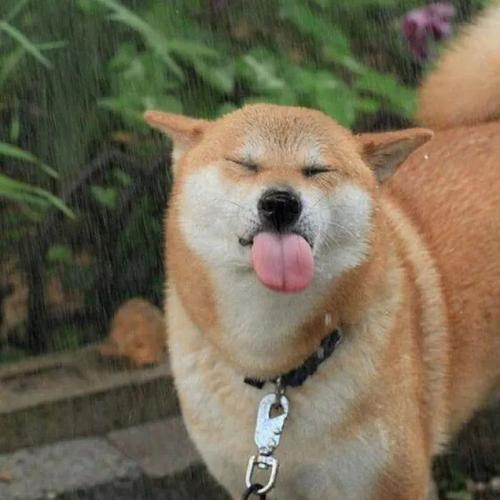 ���������Ȥ��������Ƥ�ɰ�-�ɰ���