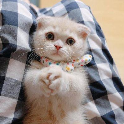 �ɰ����������һ����ů�������-�ɰ���