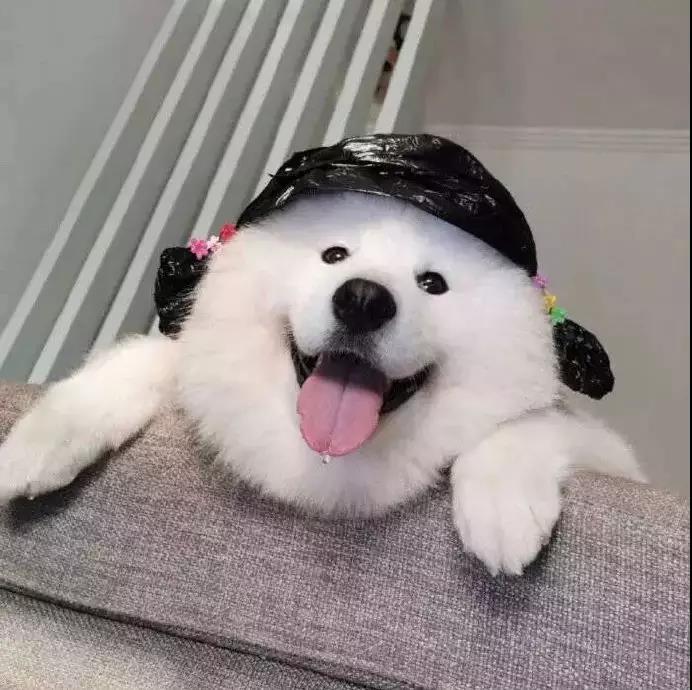 ��ů�����ĳ���ɰ���ɫ���������-�ɰ���