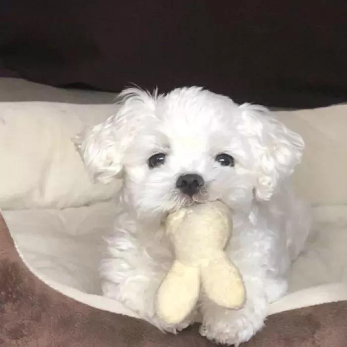 �����ĳ������ָ����˴�ȥ��ů-�ɰ���