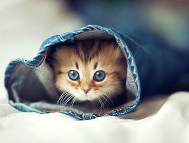 ��������Ϸ������ƣ���һ˵����й¶�������