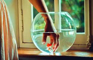 ��Լ�������֣�ǳ��ī���