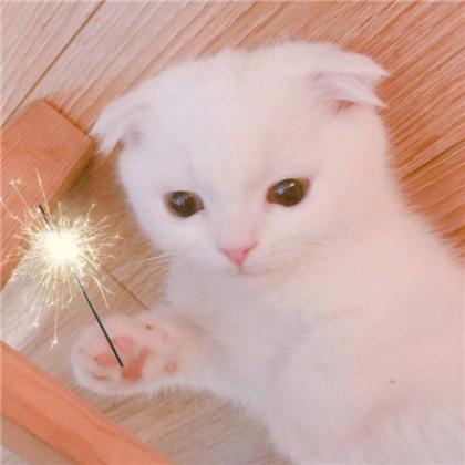 ���ǰ����յĳ������ִ�ȫ�򵥴���-�ɰ���