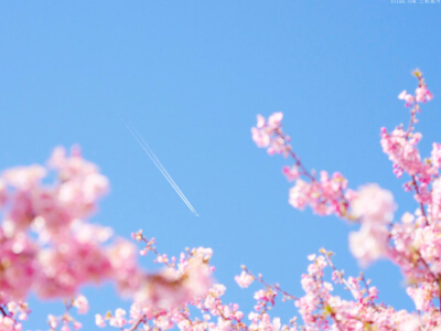 ���Է�����������������ŵ�����