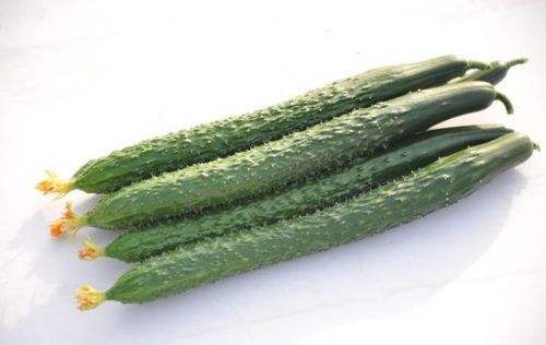 ���лƹ϶��ֵ��ں������������ڻƹϵ�����