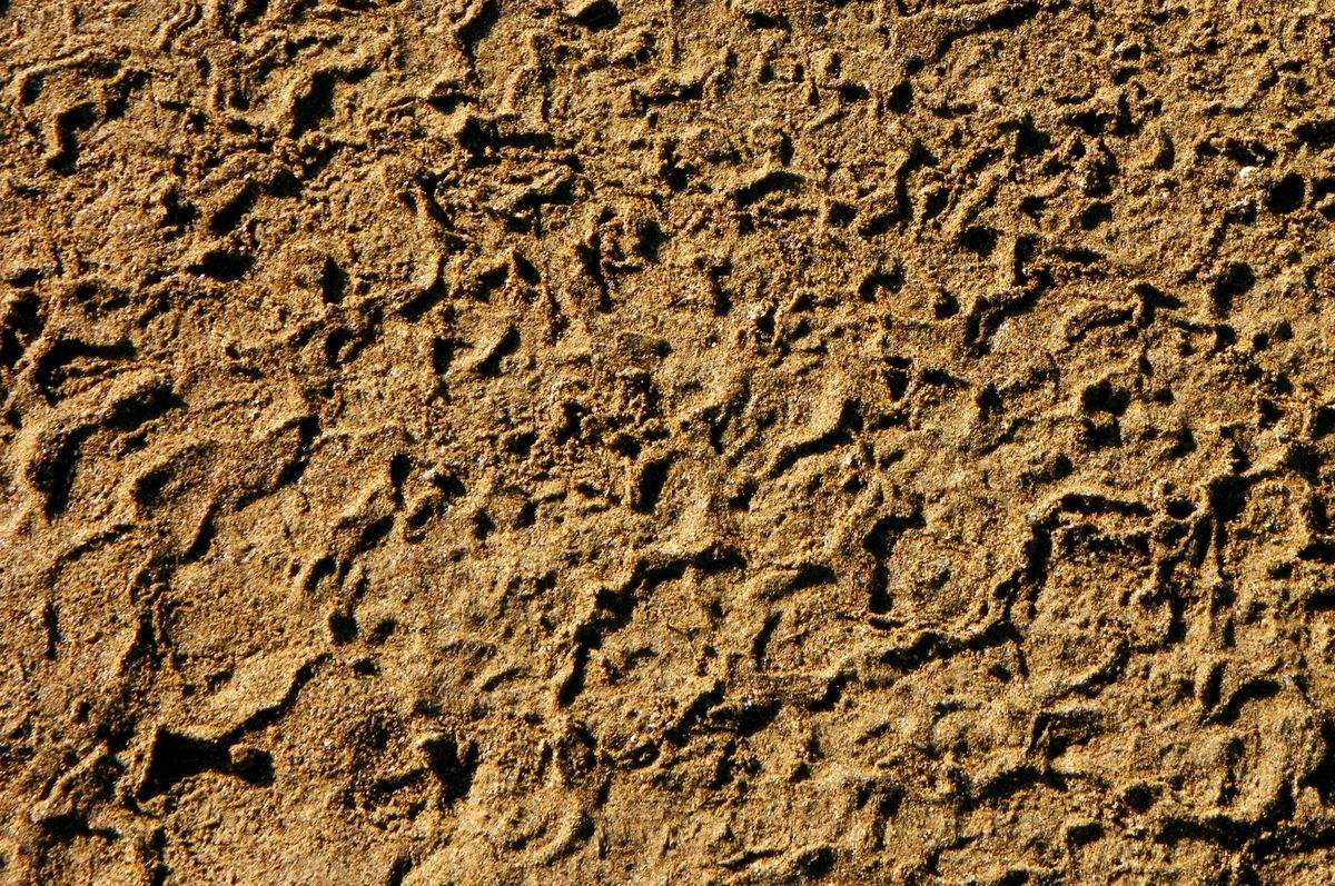 �����ɣ��������������ɣ�����